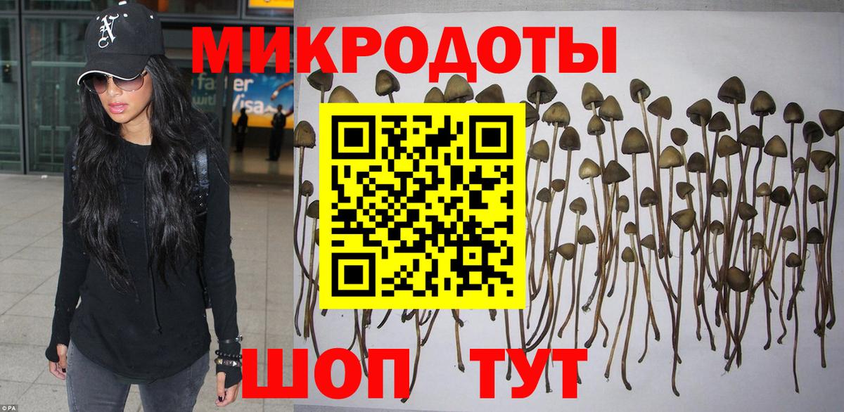 Галлюциногенные грибы MAGIC MUSHROOMS Электросталь