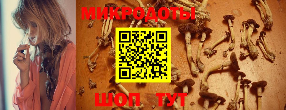 Электросталь  Галлюциногенные грибы GOLDEN TEACHER  где можно купить   Вход с VPN 